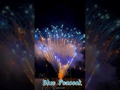 কারখানা ০.৮ ইঞ্চি ৩০০ শট ১.৩ গ্রাম পেশাদার কেক ফায়ারওয়ার্ক প্রদর্শনী ফায়ারওয়ার্ক পাইরোটেকনিকস স্যালুট