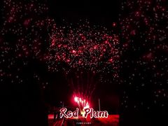 লিয়াং ফায়ারওয়ার্কস সরবরাহ ৫৬ শট স্যালুট আউটডোর কেক ব্যাটারি রেড প্লাম ফায়ারওয়ার্কস পাইরোটেকনিক্স