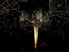 ১০০ শট ফেস্টিভ্যাল কেক ফায়ারওয়ার্কস ডিসপ্লে ইভেন্ট আউটডোর পেশাদার পাইরটেকনিক্স ১.৩জি ফায়ারওয়ার্কস