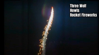 1" ছোট স্কাই শট রকেট ফায়ারওয়ার্কস থ্রি উলফ হাউলস রকেট টয় আতশবাজি পাইরোটেকনিক