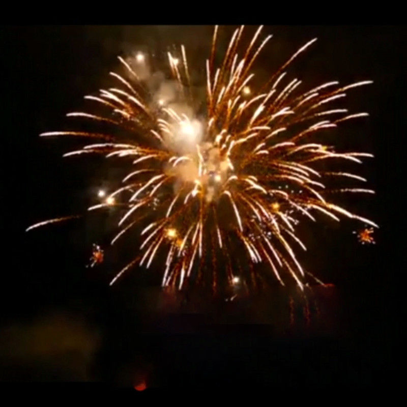 Custom Pyrotechnic Chinese Outdoor Classic Cake Fireworks 16 Shot