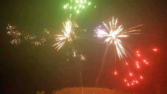 48 শট কেক ফায়ারওয়ার্ক 1.4g UN0336 25*30*200mm টিউব এবং উৎসবের জন্য কাস্টমাইজযোগ্য প্রভাব সহ