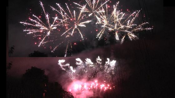 লিউয়াং ফায়ারওয়ার্ক ১.৩ গ্রাম Un0335 পাইরোটেকনিক্স ৫৬ শট পেশাদার প্রদর্শন ফায়ারওয়ার্ক ১.৩ গ্রাম উৎসব উদযাপনের জন্য