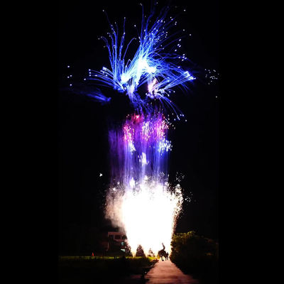 চীনা কাস্টমাইজড 100 শট পাইরোটেকনিক ক্রেতা কেক ফায়ারওয়ার্ক নতুন বছরের জন্য