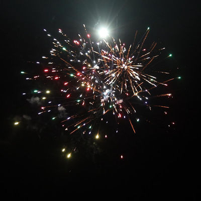 চীন পাইরোটেকনিক্স 49 শট পাইকারি ভাল দাম গ্রাহক আউটডোর কেক ফায়ারওয়ার্ক