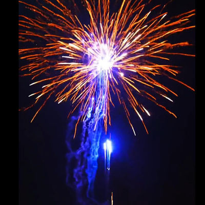 চীনা কারখানা আউটডোর কেক ফায়ারওয়ার্কস ফায়ারওয়ার্কস এবং ফায়ারওয়ার্কস নববর্ষ উদযাপনের জন্য পাইরোটেকনিক্স 2024