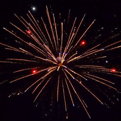 500G 12 শট নববর্ষের কেক ফায়ারওয়ার্ক চীনা পাইকারি রপ্তানি বিবাহের উদযাপনের জন্য পাইরোটেকনিক্স
