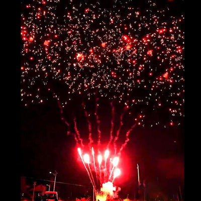 লিয়াংইয়াং ফায়ারওয়ার্কস সাপ্লাইস ম্যান্ডারিন নতুন হট ফায়ারওয়ার্কস ৫৬ শটস স্যালুট আউটডোর কেক ব্যাটারি রেড প্লাম ফায়ারওয়ার্কস পাইরোটেকনিক্স