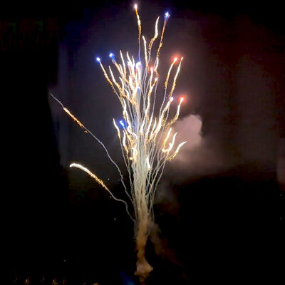 চীনা কারখানার কাস্টম 100 শট উলফ হাউলস কেক আতশবাজি পাইকারি পাইরোট টেকনিক নতুন আতশবাজি নববর্ষের ক্রিসমাস বিবাহের উদযাপনের জন্য