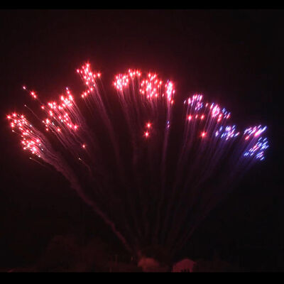 চীনা কারখানা পাইকারি 1.2'' 13 শট একক সারি এস কেক ফায়ারওয়ার্ক নীল থেকে লাল থেকে সাদা স্ট্রব ম্যান্ডারিন ফায়ারওয়ার্ক বহিরঙ্গন