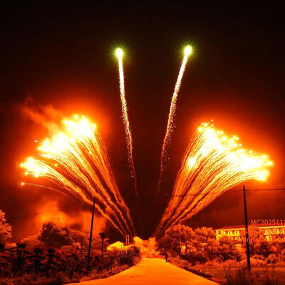লিউয়াং কারখানা ১.৩ জি পেশাদার ১২ শট একক সারির আতশবাজি প্রদর্শনী চীনা পাইকারি উৎসব নতুন আতশবাজি পাইরোটেকনিক্স
