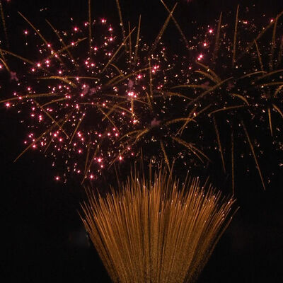 1.২ ইঞ্চি ১০০ শট কেক ফায়ারওয়ার্ক ১.৩ জি পেশাদার ইউএন ০৩৩৫ সার্টিফাইড পাইরোটেকনিক্স আউটডোর উদযাপনের জন্য